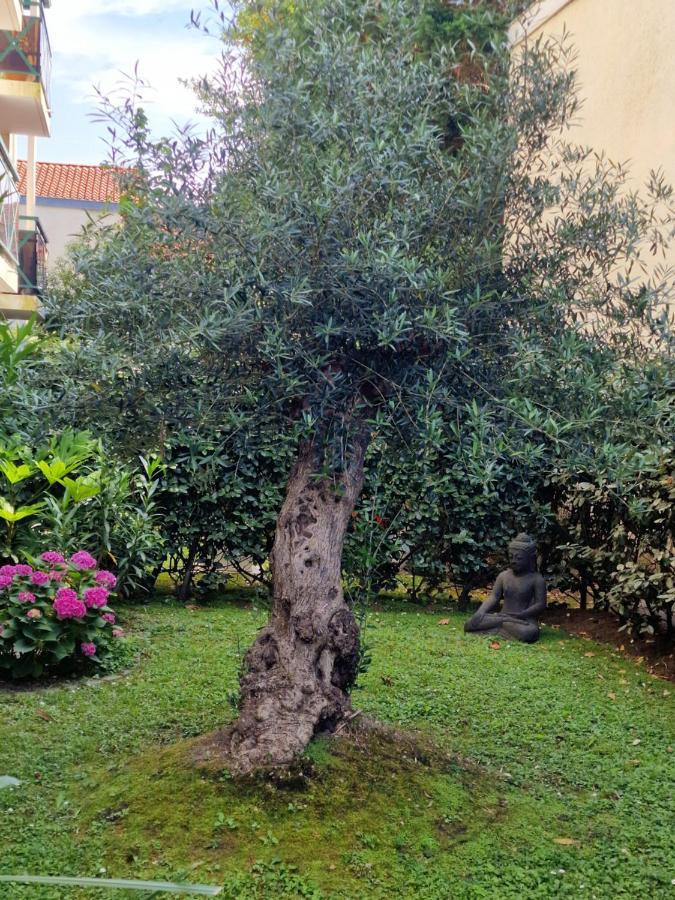Superbe Appartement Avec Jardin Saint Charles Biarritz Esterno foto